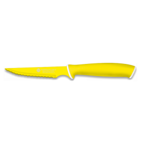 Kitchen knife 17322-AM "Martinez Albainox"