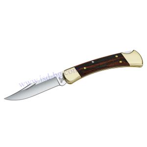Knife Buck 110 Folding Hunter model 9210 - 0110BRS-B