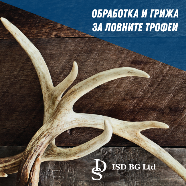 Обработка и грижа за ловните трофеи