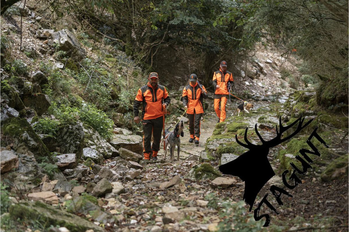 Ловни дрехи Stagunt – френско качество и комфорт за всеки ловец